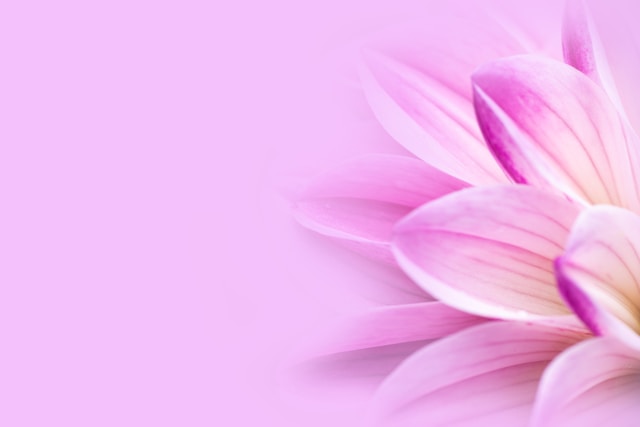 Kamremniva közösség